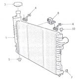 РАДІАТОР (RADIATOR )