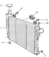 РАДІАТОР (RADIATOR )